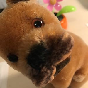 Meet your Posher, Kelly